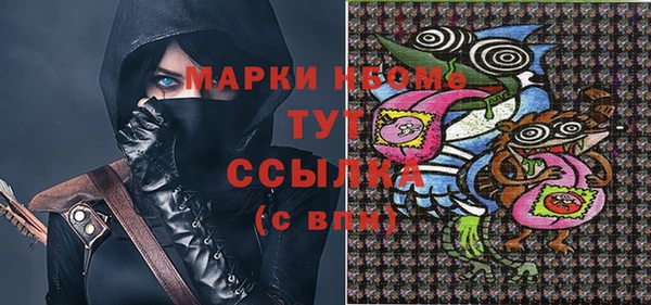 стафф Верхний Тагил