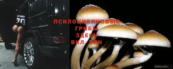 стафф Верхний Тагил
