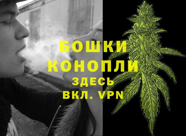 стафф Верхний Тагил