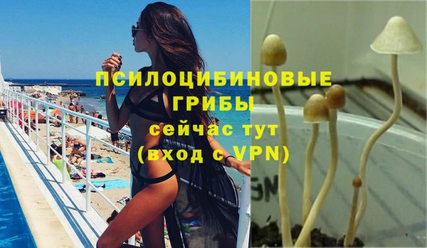 COCAINE Верея