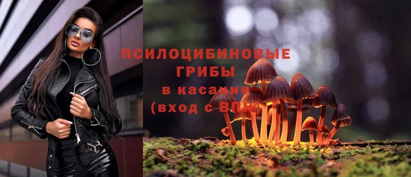стафф Верхний Тагил