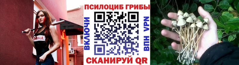 Псилоцибиновые грибы мухоморы  omg как войти  Щёлкино 