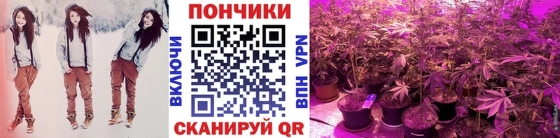 МАРИХУАНА LSD WEED закладка Щёлкино
